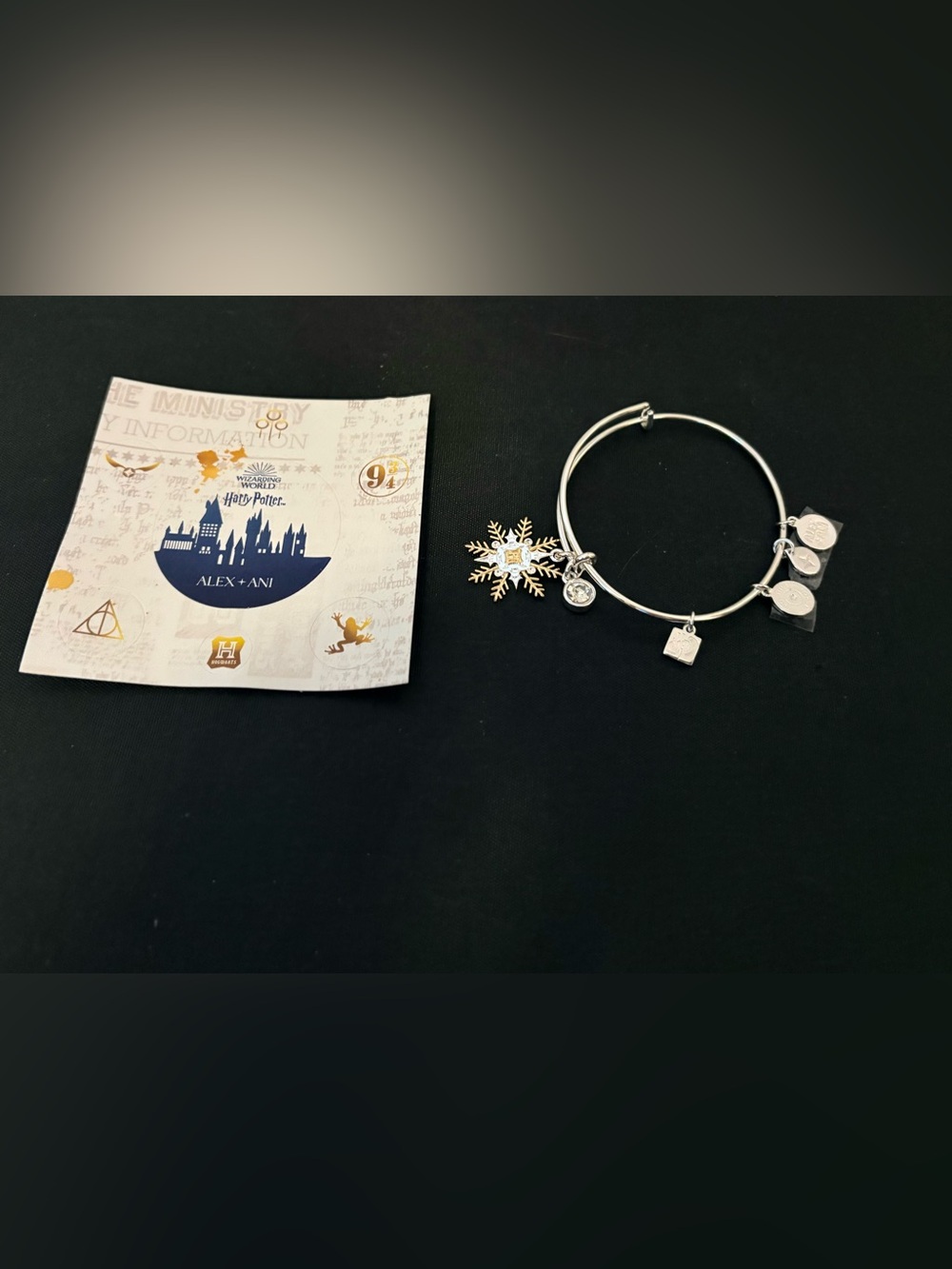Alex and Ani Winter Harry Potter Bangle